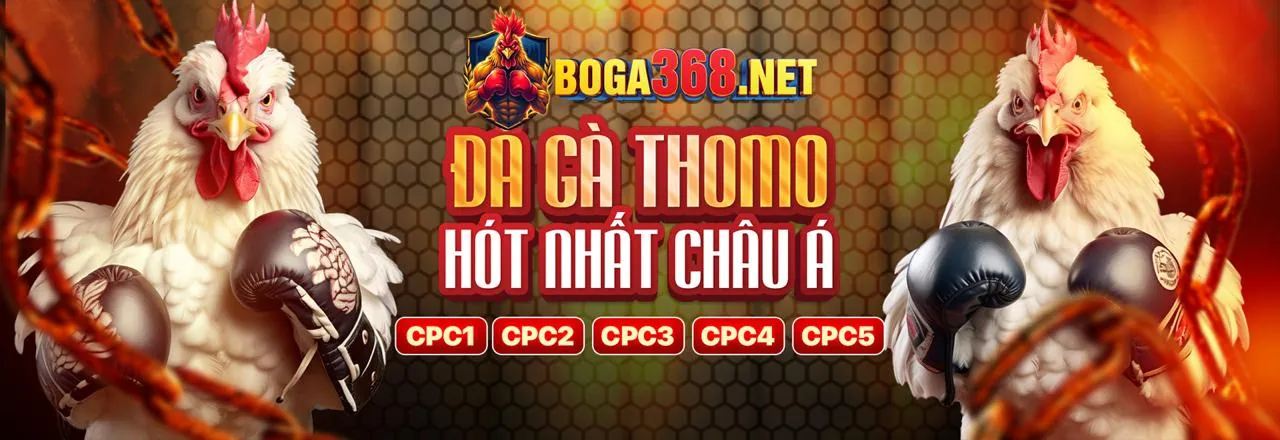 Hình ảnh đại diện cho Điều khoản và Điều kiện của 8kbet456 chính thức